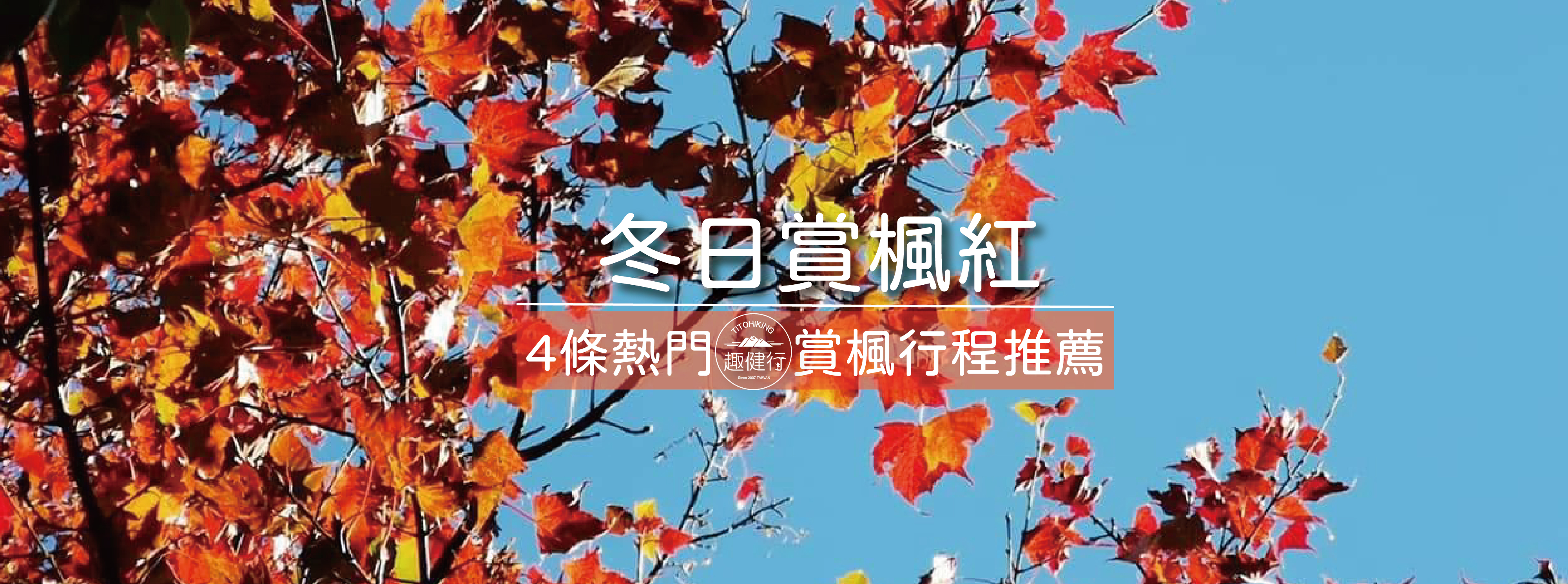 冬日賞楓紅 4條熱門賞楓行程推薦