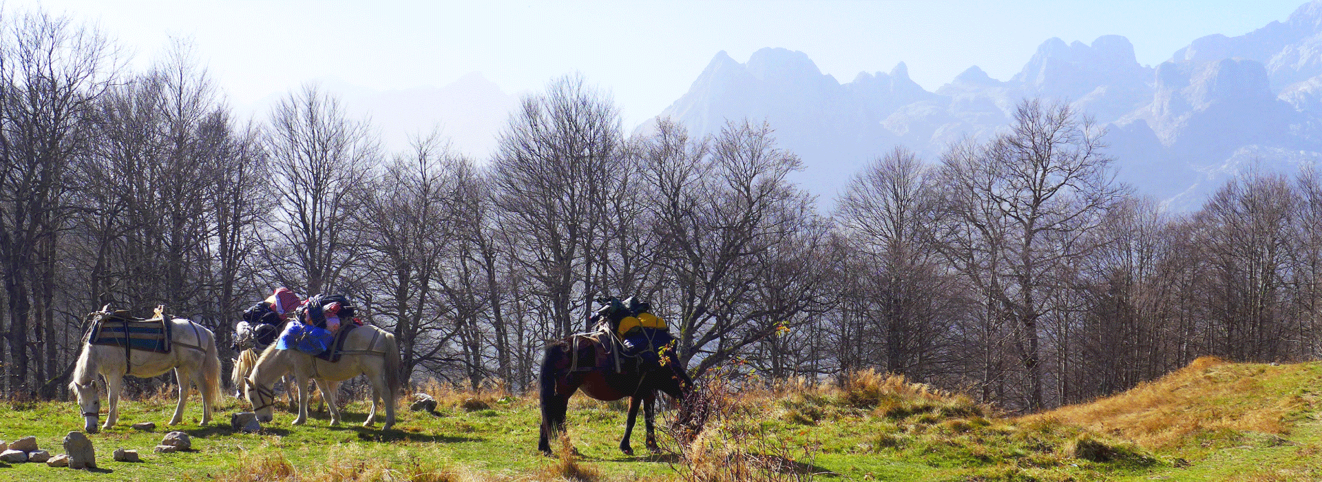 巴爾幹群峰｜跨邊境環山健行