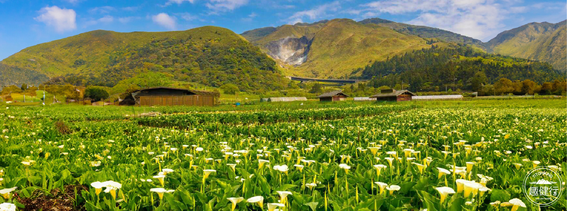 探索台北~陽明山花季系列~踏青擎天崗草原、七星山、竹子湖花海