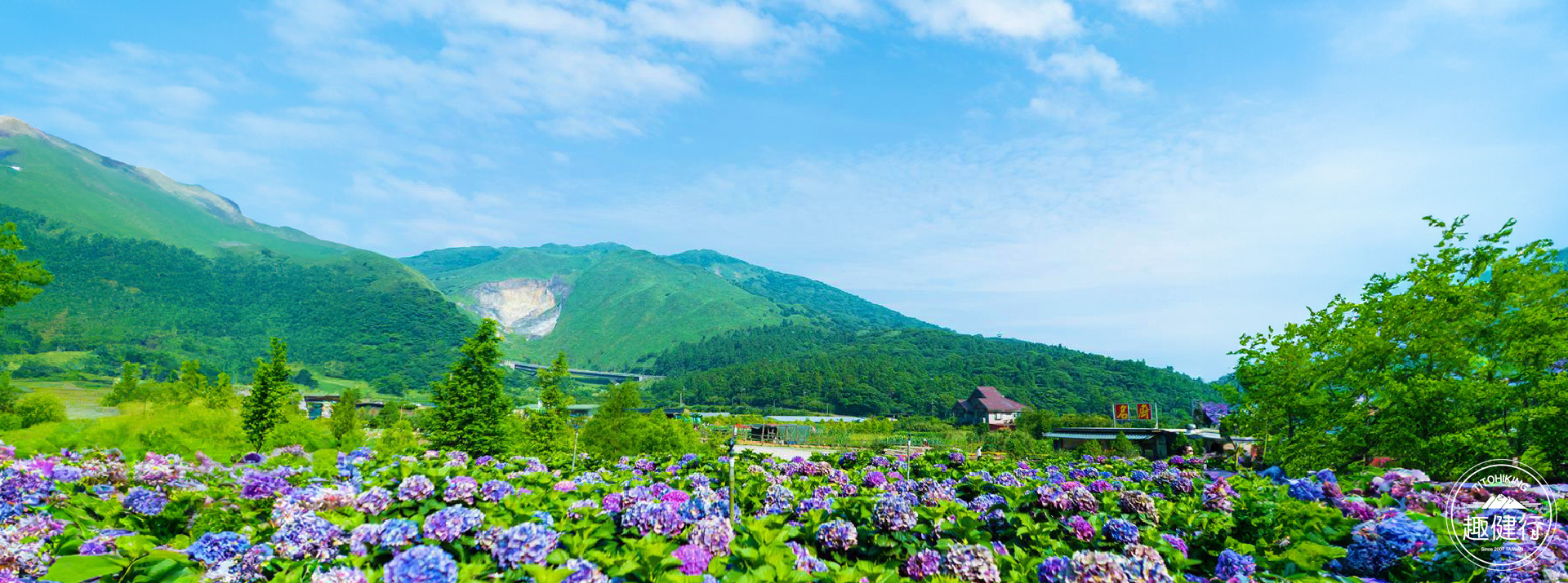 探索台北~陽明山花季系列~踏青擎天崗、絹絲瀑布、竹子湖花海